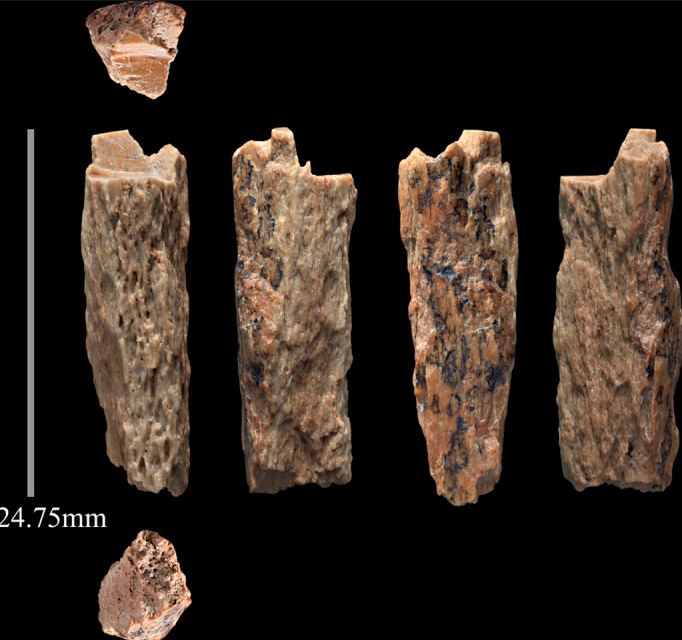 Denisova 11 bone fragment, the first-generation Neanderthal-Denisovan hybrid